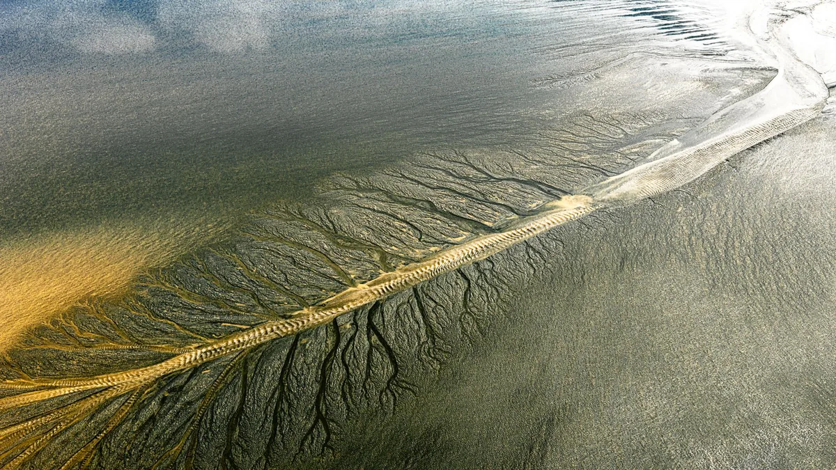 Aerial photograph showcasing intricate natural patterns in a tranquil wetland area.